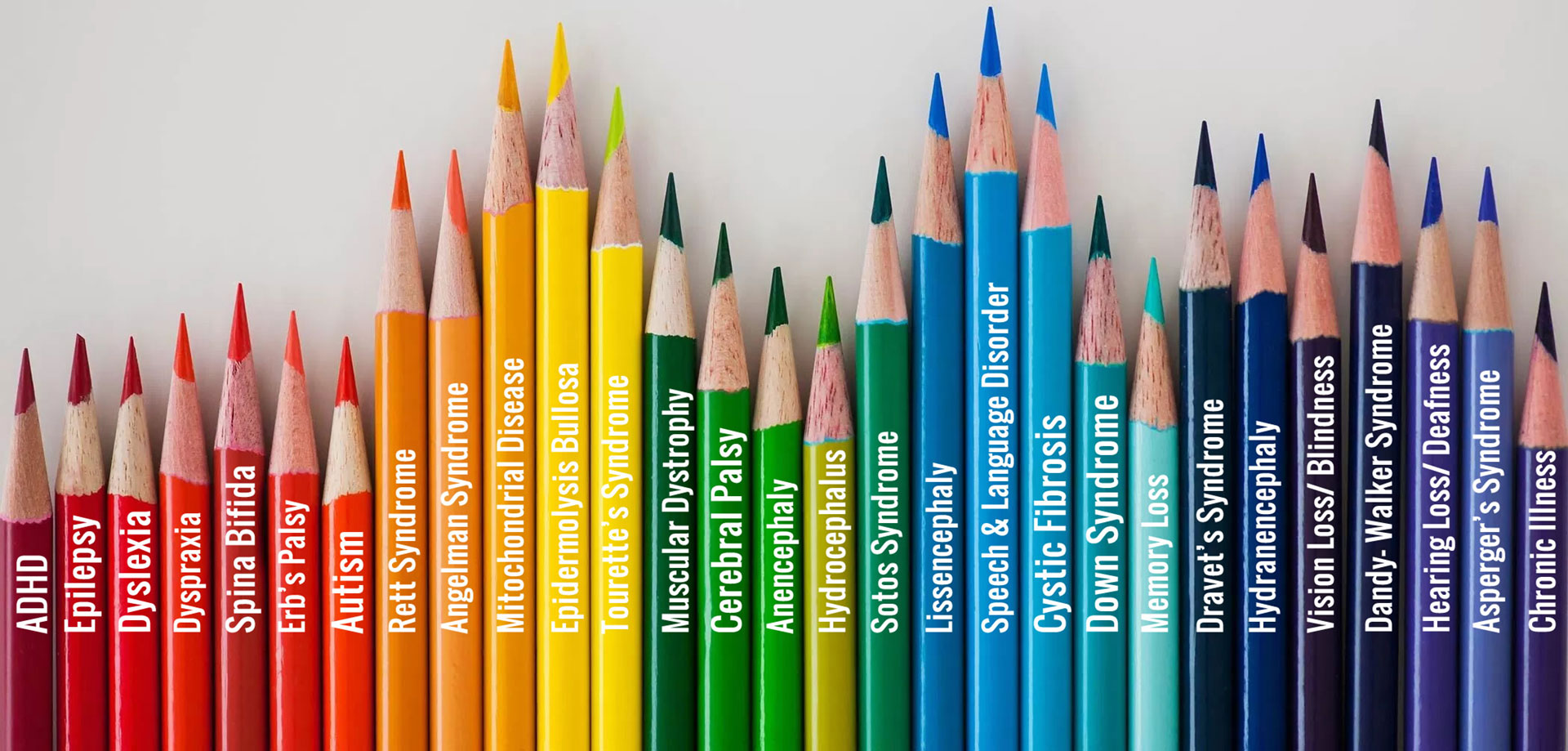 colornames support for families with disabilities